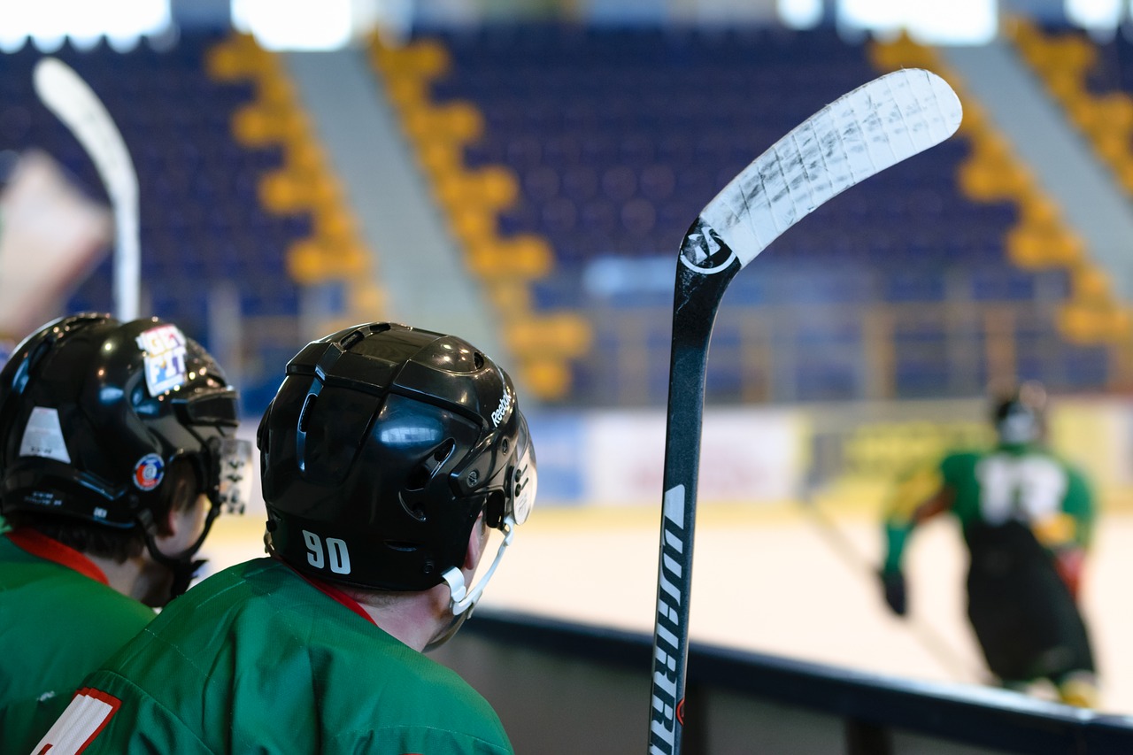 hockey game, stadion, ice skating rink-3209935.jpg